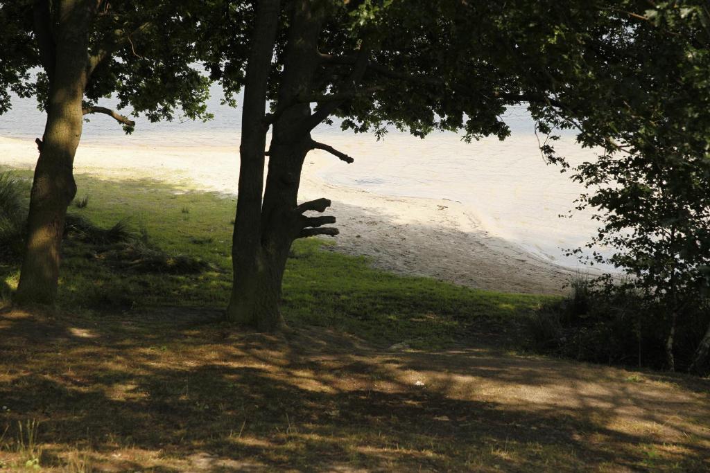 Hotel Villa Will - Resim 18