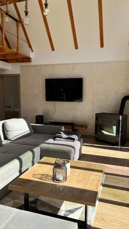 Televisyen dan/atau pusat hiburan di VILA ANÐELIJA Zaovine