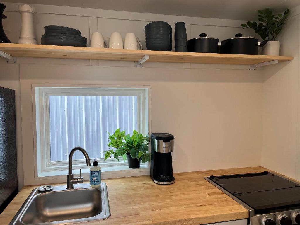 佩里的住宿－The Mockingbird Tiny Home，带水槽的厨房台面和窗户