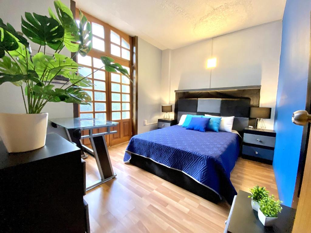 a bedroom with a bed and a potted plant at ROOMIES HOSTEL Cibeles in Mexico City