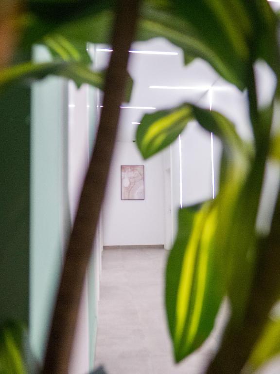 Fotografie z fotogalerie ubytování HOTEL HIBA v destinaci Nouakchott