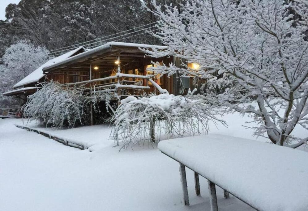 una cabina coperta da neve con una panchina di fronte di The Cloud House Hampton - Rustic Alpine Retreat a Lowther