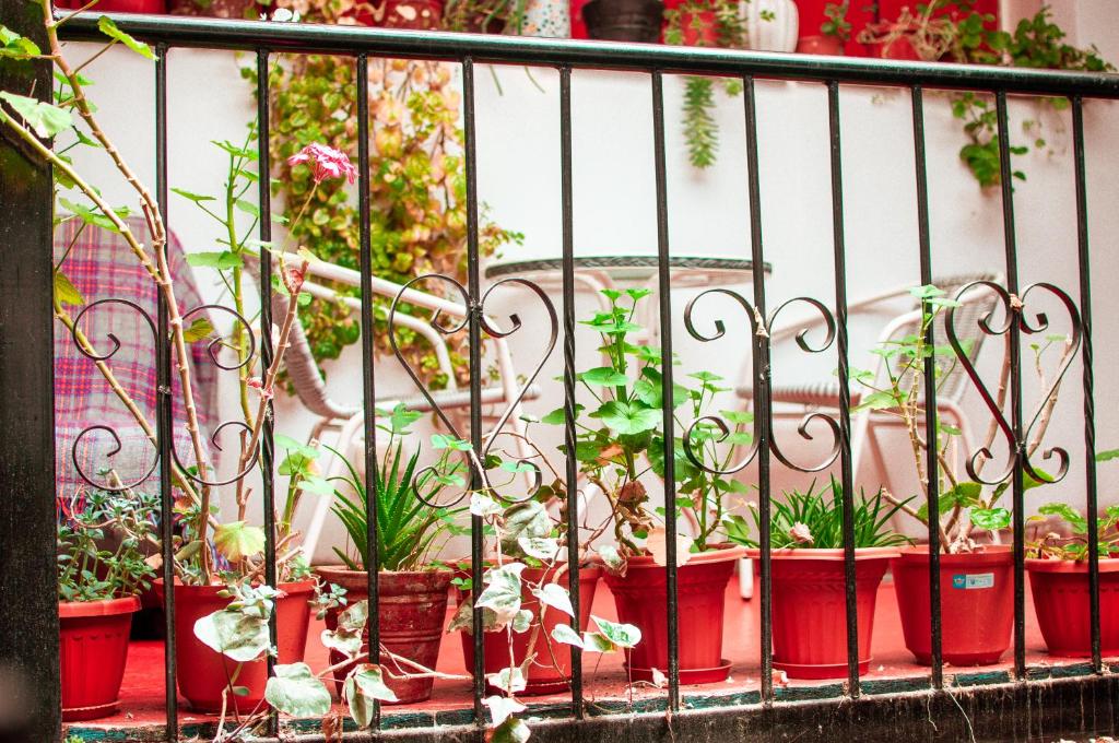 Balkón nebo terasa v ubytování La Casa de Laura - Plaza