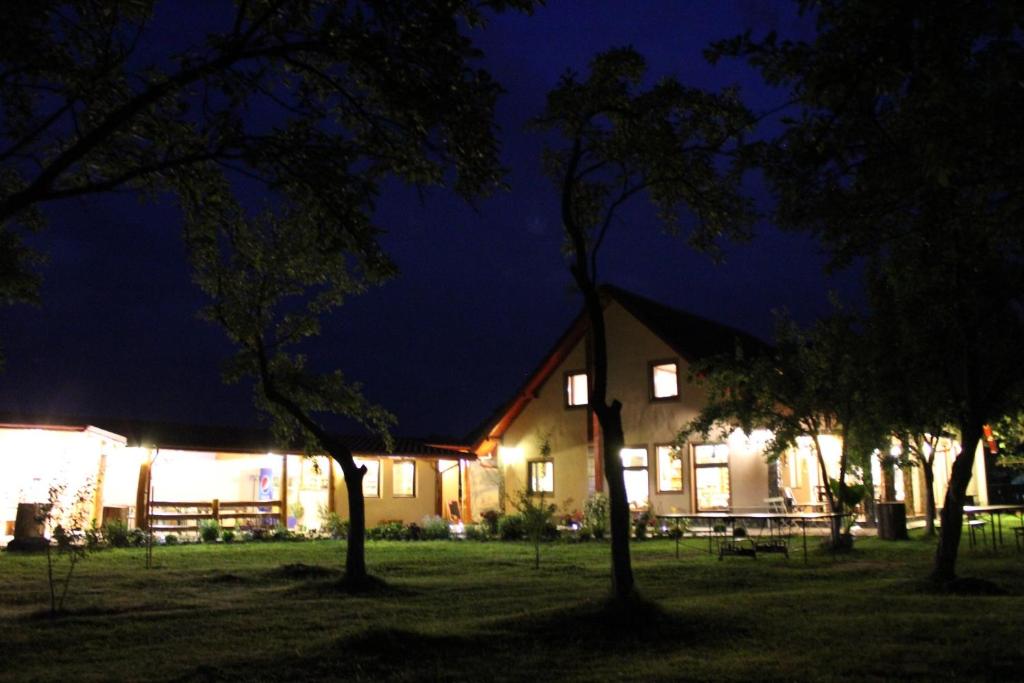 a building at night with trees in front of it at Pensiunea Casa Noastra in Baia de Fier