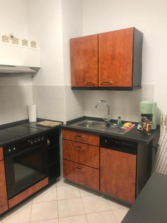 Kuchyň nebo kuchyňský kout v ubytování Ferienwohnung über Greiz
