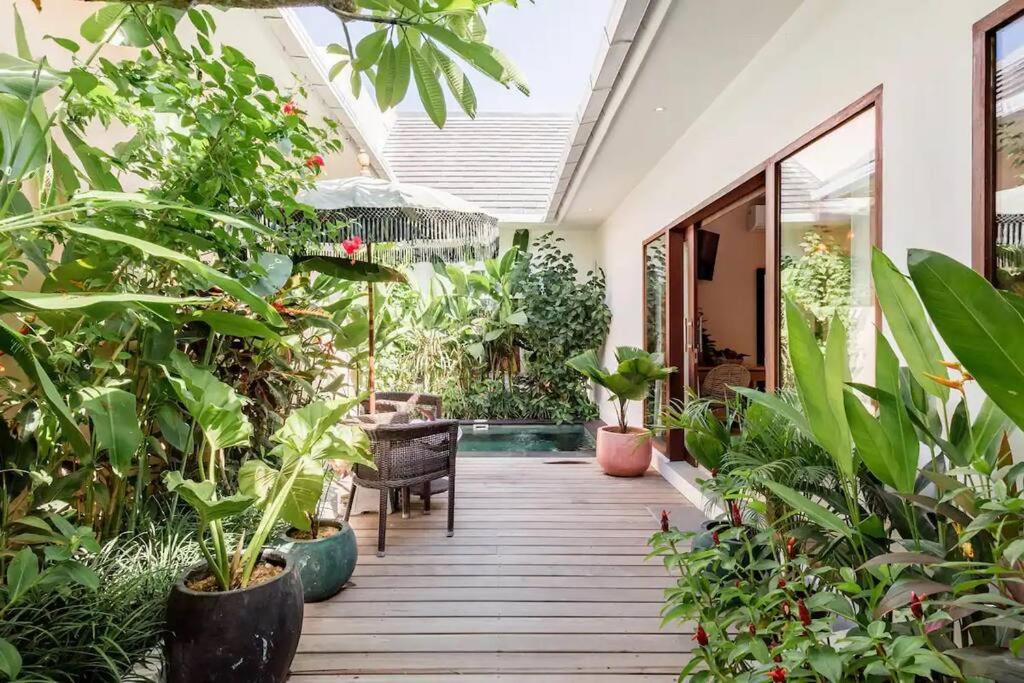 Κήπος έξω από το Frangipani Villa Kuning at Berawa