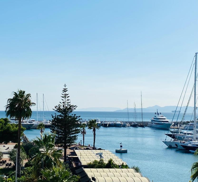 a marina with boats and palm trees in a harbor at Piraeus Seaview Appartment in Piraeus