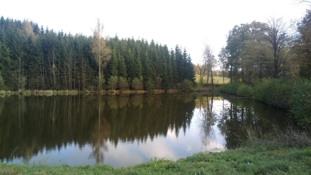 Příroda nedaleko apartmánu