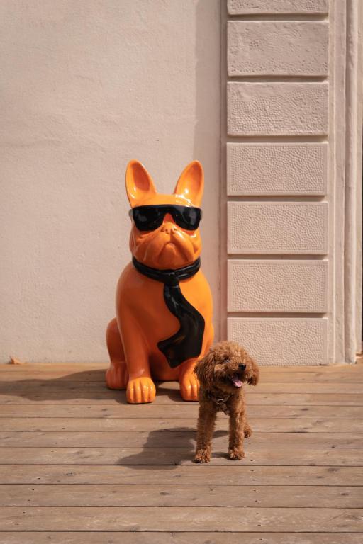 a statue of a dog wearing a cat costume and sunglasses at Re Versiliana Hotel in Marina di Pietrasanta