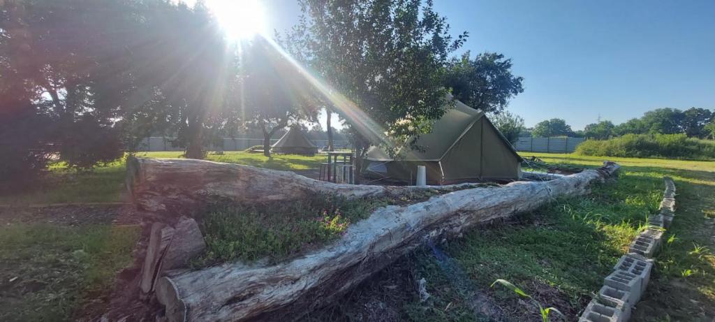 Příroda nedaleko luxury tent