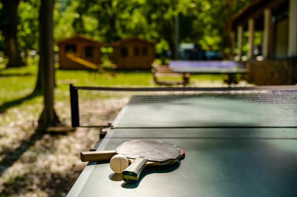 Stolní tenis v ubytování Holiday Resort Medveja nebo okolí