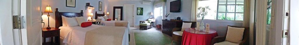 Hotel Panamonte - Suite Junior Avec Terrasse