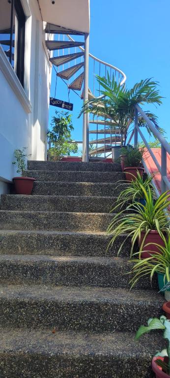 Fotografie z fotogalerie ubytování La Vida Hostel v destinaci Puerto Princesa