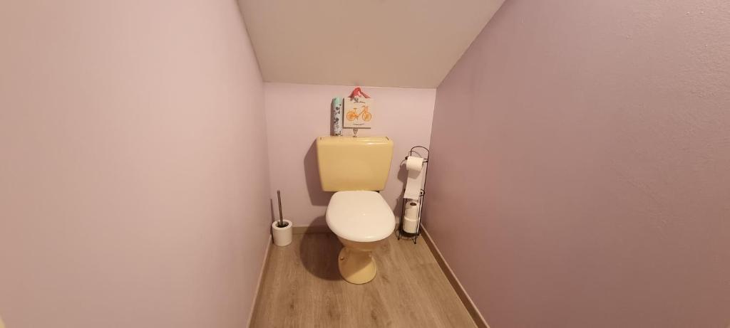 a small bathroom with a toilet in a room at Meublé de tourisme &quot;Les brosses tillots&quot; in Mary