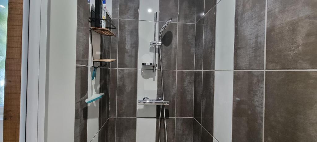 a bathroom with a shower with a glass at Meublé de tourisme &quot;Les brosses tillots&quot; in Mary