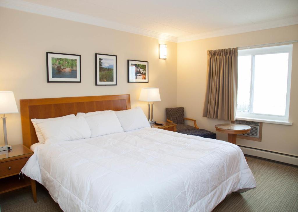 ein Hotelzimmer mit einem großen Bett und einem Fenster in der Unterkunft Twin Pine Inn & Suites in Hinton