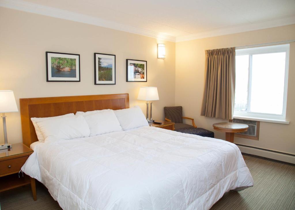 una camera d'albergo con un grande letto e una finestra di Twin Pine Inn & Suites a Hinton