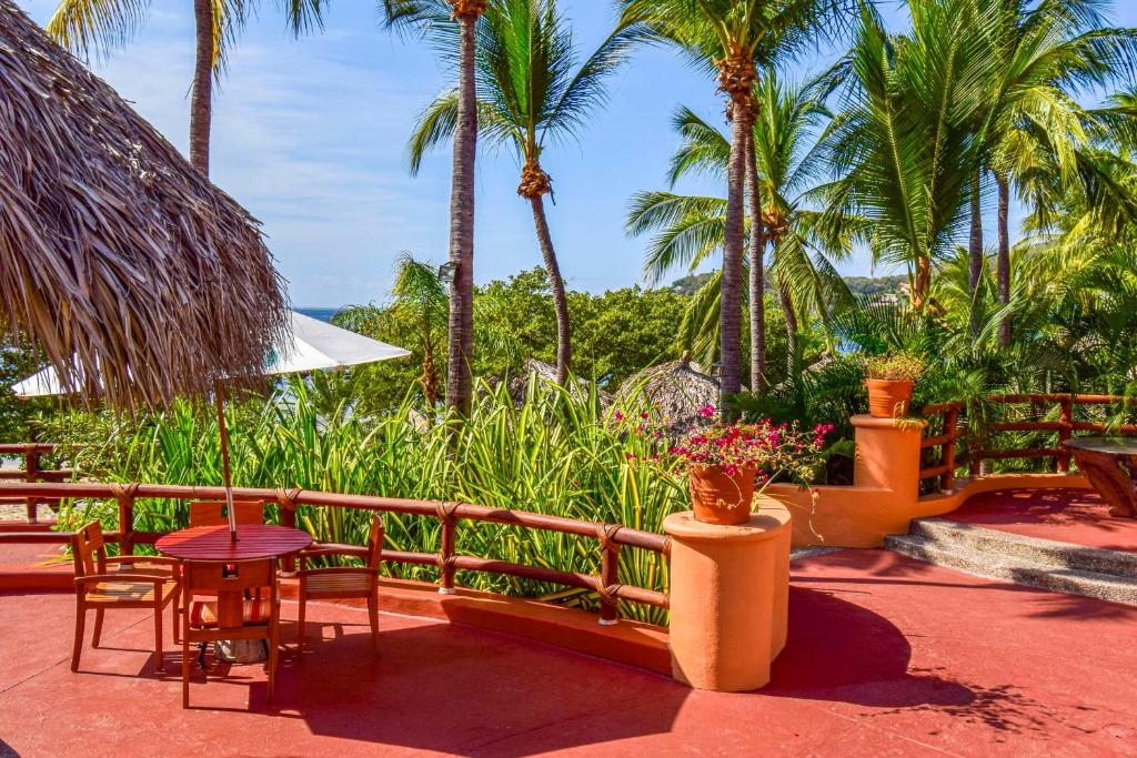 Сад в Hilton Grand Vacations Club Zihuatanejo