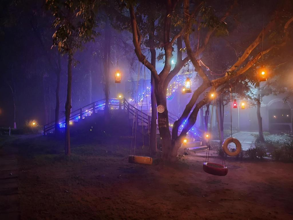 a tree in a park at night with lights at Jungle King Resort in Kānha