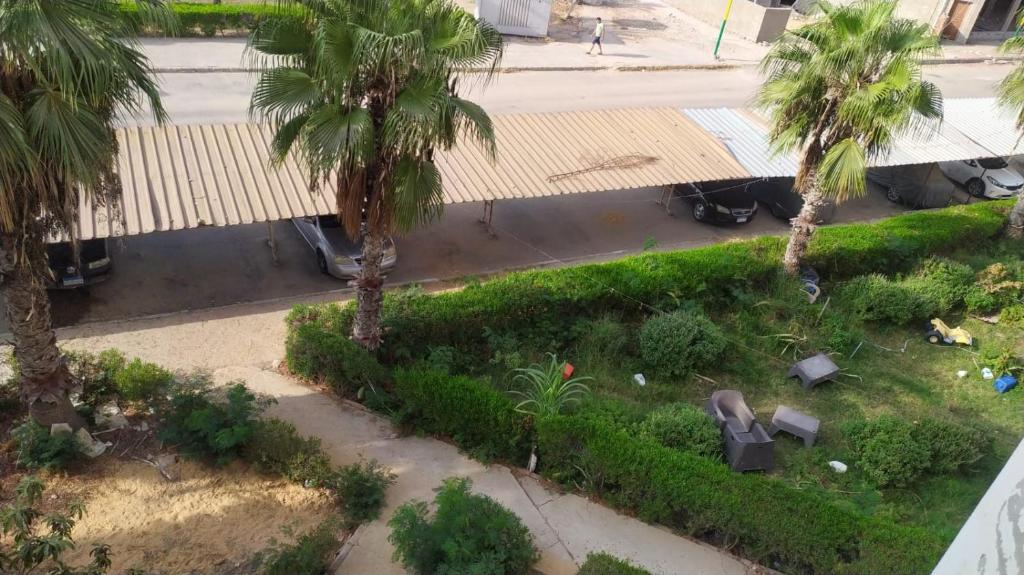 Zahrada ubytování Ismailia - Elnouras compound