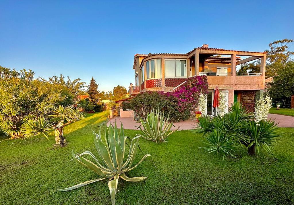 una casa con muchas plantas delante de ella en HAUT VILLA MESANGES EN BORD DE MER !, en Lucciana