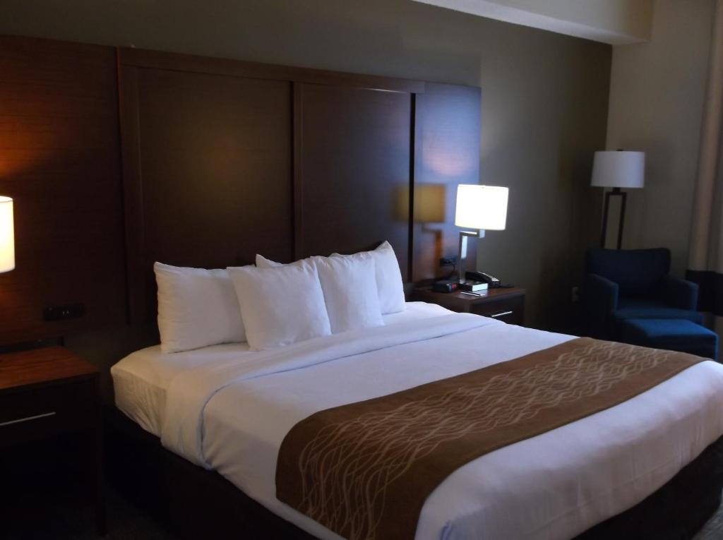Comfort Inn & Suites - Room King Avec Rouleau - Accessible / Non-fumeur