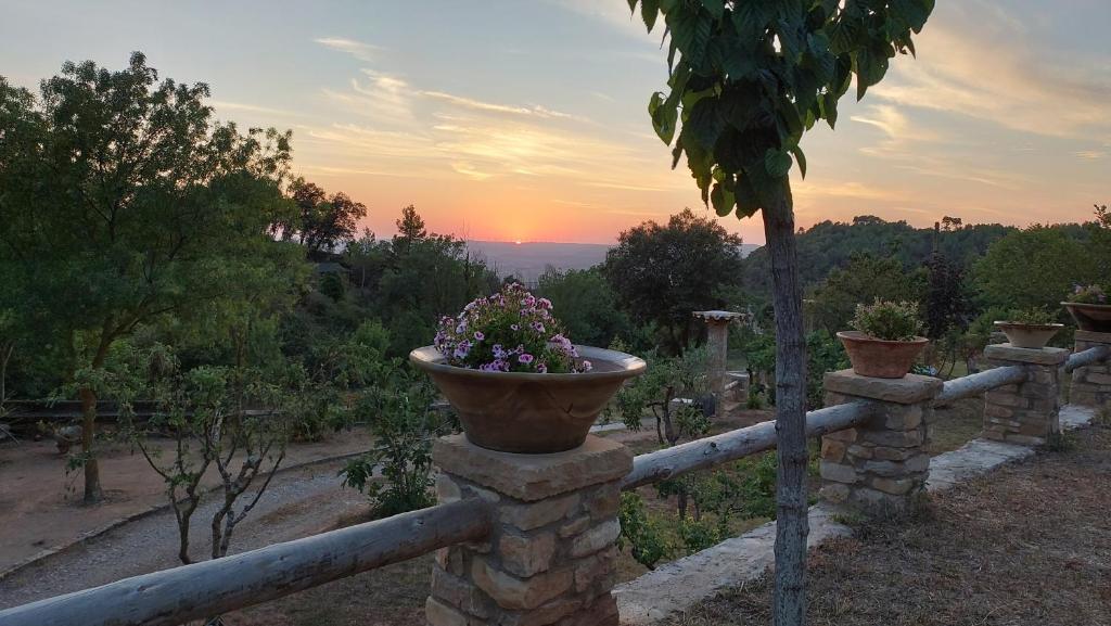 Paisaje cerca of this country house