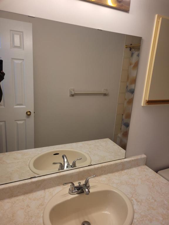 een badkamer met een wastafel en een spiegel bij Kanata Prime Location, Ottawa in Ottawa