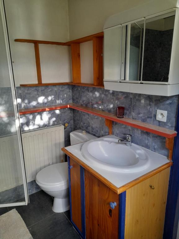 een badkamer met een wastafel en een toilet bij la petite ferme in Saint-Maur-des-Fossés