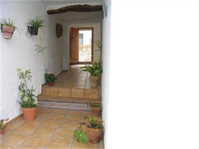 a hallway with potted plants in a house at Casa Rural Sara in Pinos del Valle