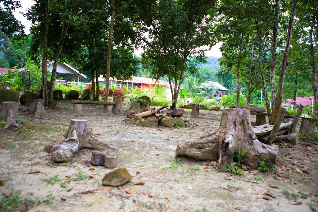 un groupe d'arbres et de bancs dans un parc dans l'établissement CAMPSITE CMM YAN KEDAH, à Yan