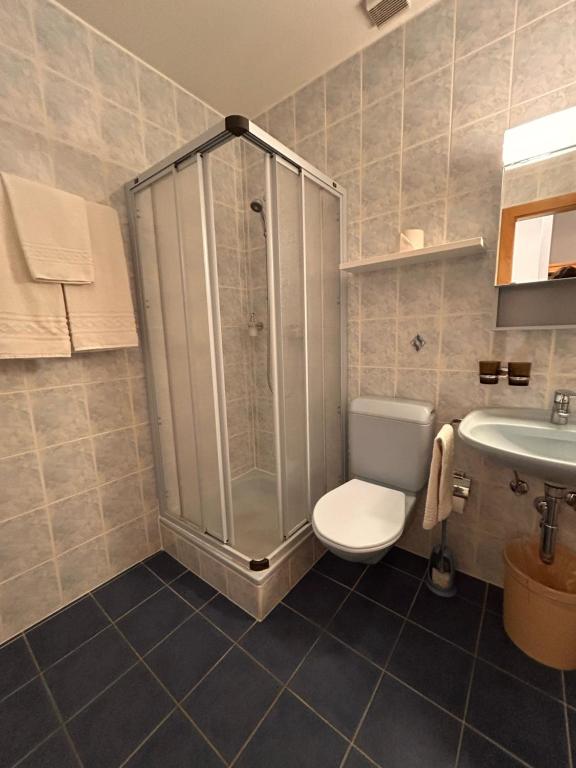 Koupelna v ubytování Hôtel EDIROL