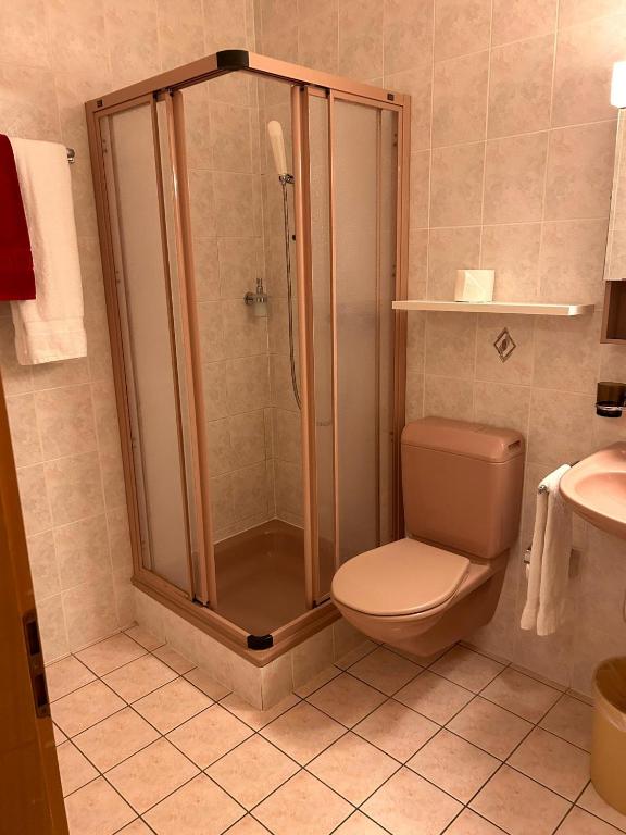 Koupelna v ubytování Hôtel EDIROL