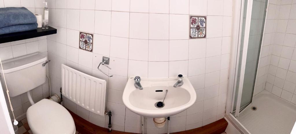 a bathroom with a sink and a toilet at Bramley House in Boston