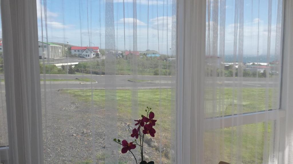 Fotografie z fotogalerie ubytování ALBERT Guesthouse v destinaci Hvammstangi