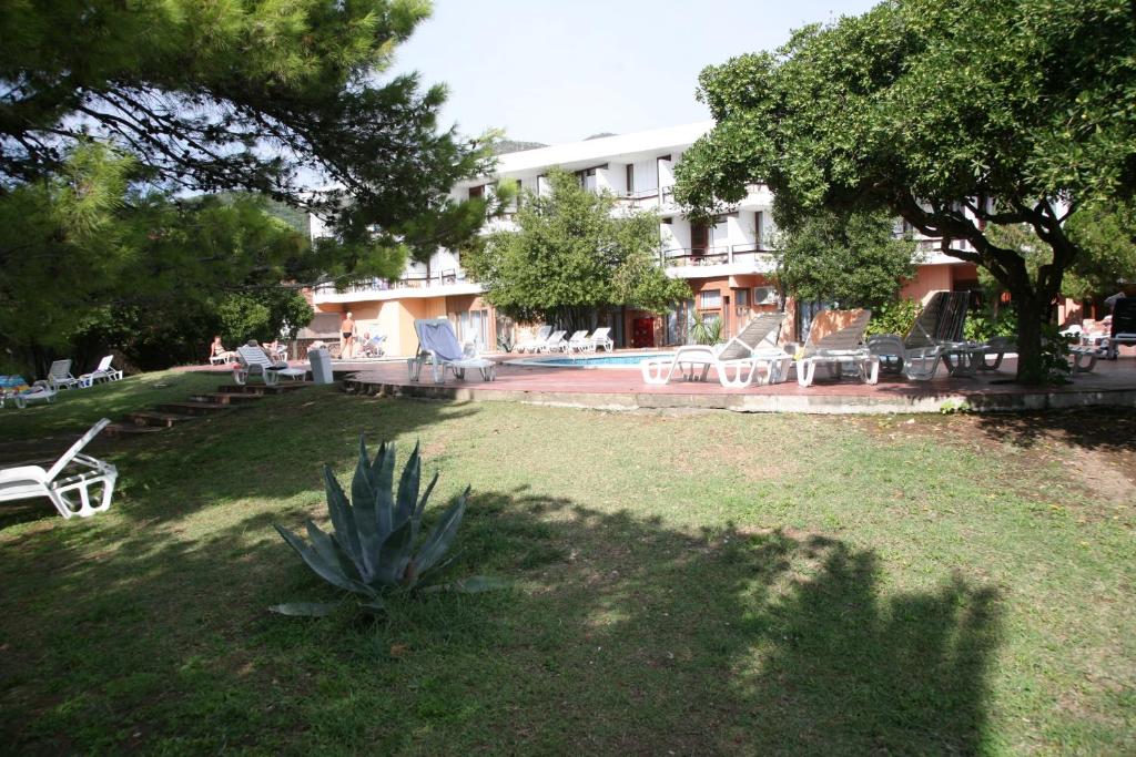 Zahrada ubytování Hotel Kamelija