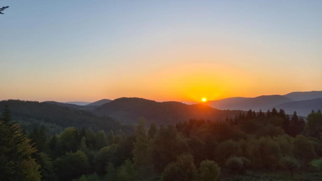 Príroda v okolí apartmánu