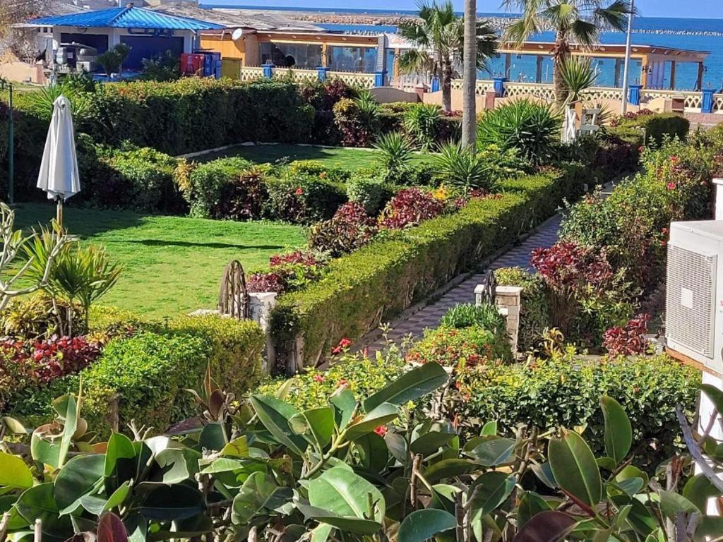 a garden in front of a house with bushes and flowers at LARA Maamoura beach Alexandria in Alexandria