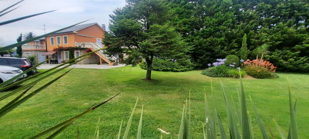 Apartamentos Turísticos Rosa - 11