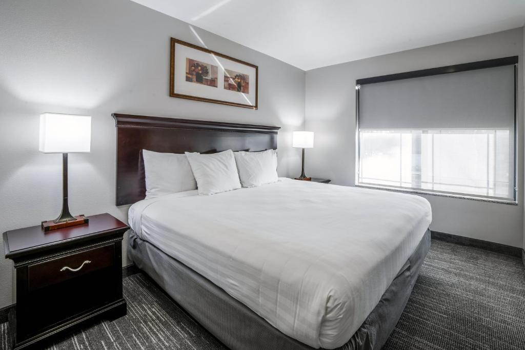 Country Inn & Suites by Radisson, Ontario at Ontario Mills, CA - Suite King De Un Dormitorio
