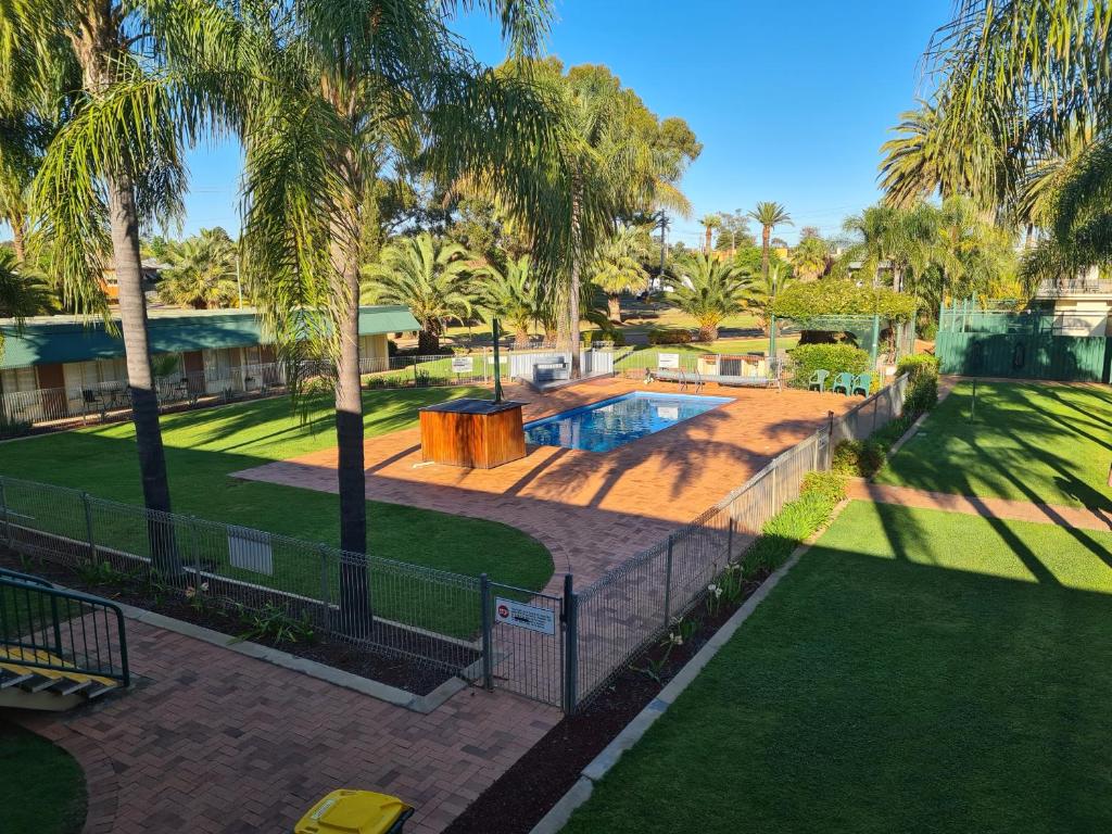 a backyard with a swimming pool and palm trees at Motel Riverina in Leeton