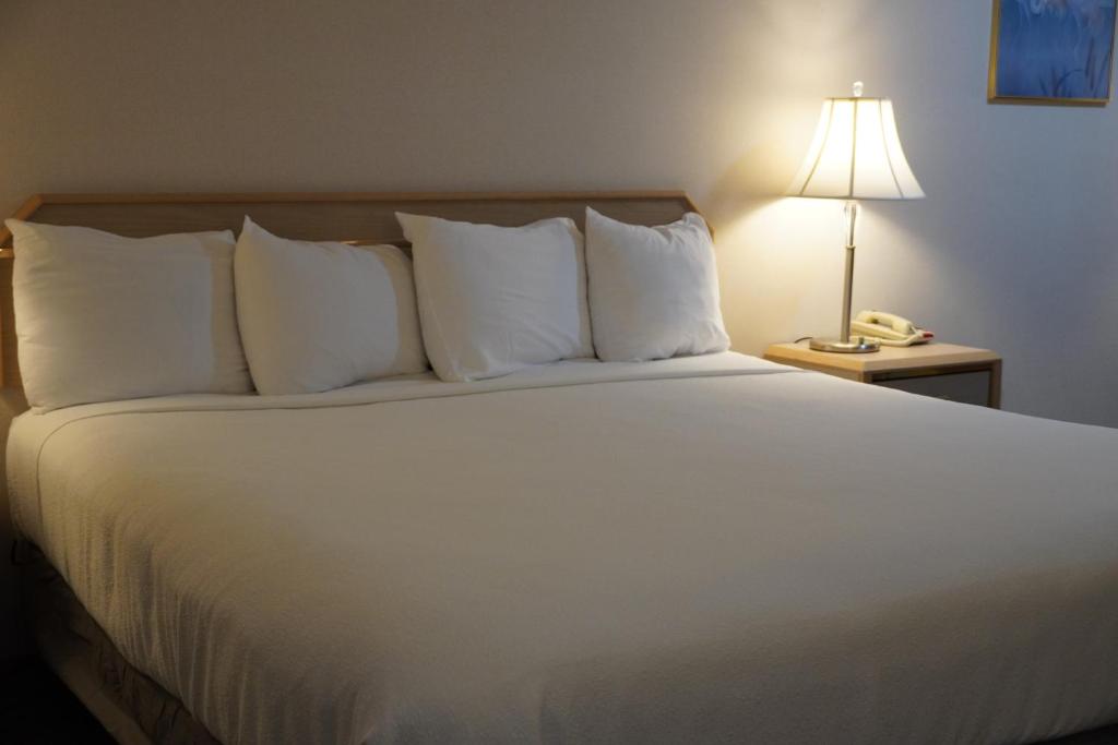 Postel nebo postele na pokoji v ubytování Timberland Inn & Suites