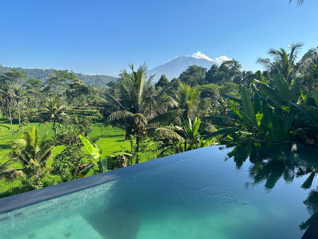 una piscina con vistas a un bosque y a las montañas en Nana Suites Villa en Sidemen