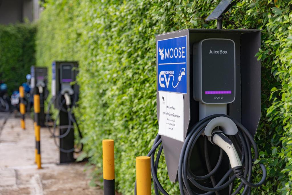 Moose Hotel Chiangmai - Resim 35