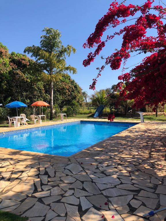 Suíte Premium - Pousada Dos Ypês