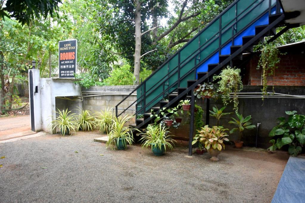 Zahrada ubytování Lion Home Stay Anuradhapura