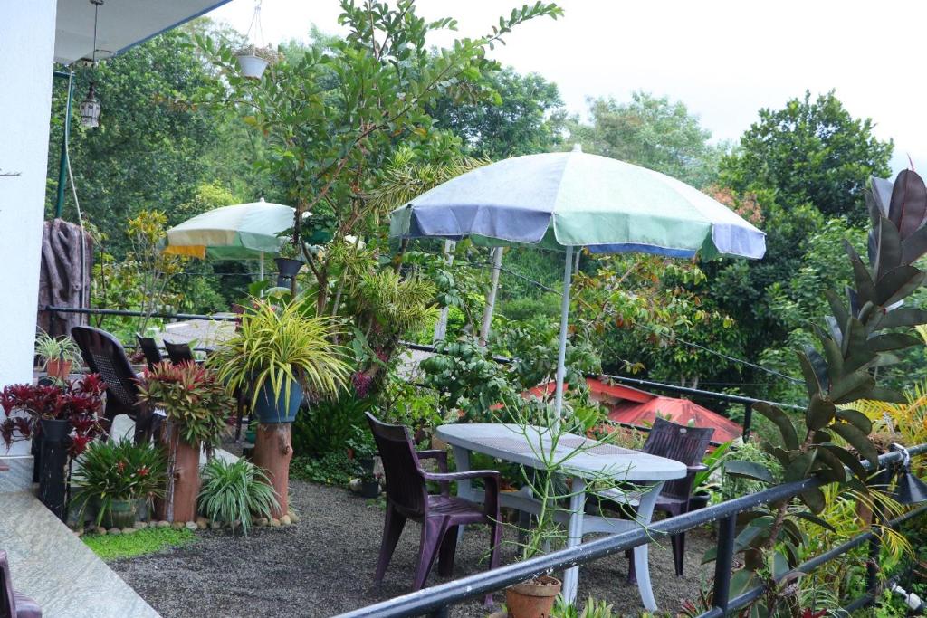 Princess of Dickoya Homestay - 2