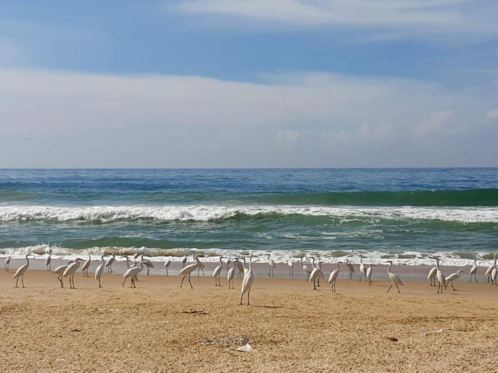 Φυσικό τοπίο κοντά σε αυτό το δωμάτιο σε οικογενειακή κατοικία