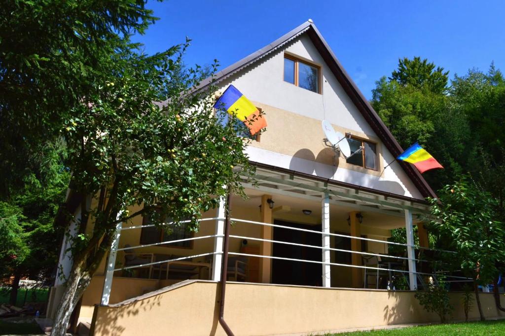 ein Haus mit Flaggen auf der Seite in der Unterkunft Casa Aris Lepsa Vrancea in Lepşa