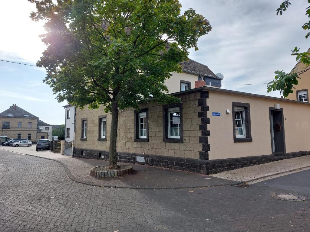 un árbol frente a un edificio en una calle en FeWo Zum Laacher See en Mendig